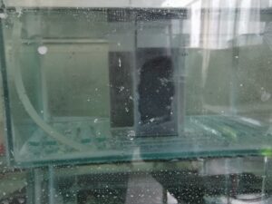 Electrical & life testing